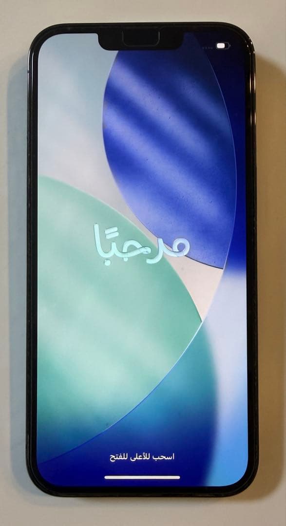 iPhone 13 Pro グラファイト 128GB ケース付き