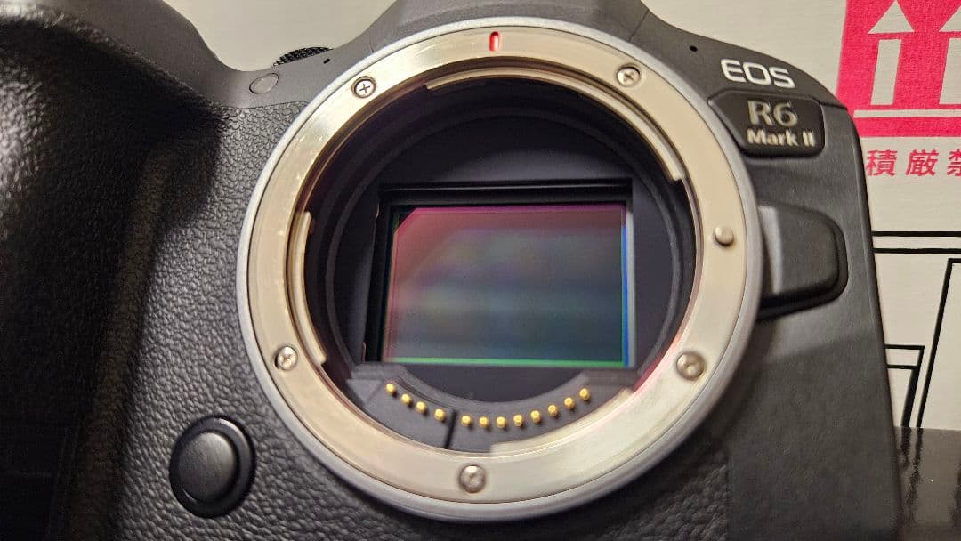 EOS R6 markII ボディ美品