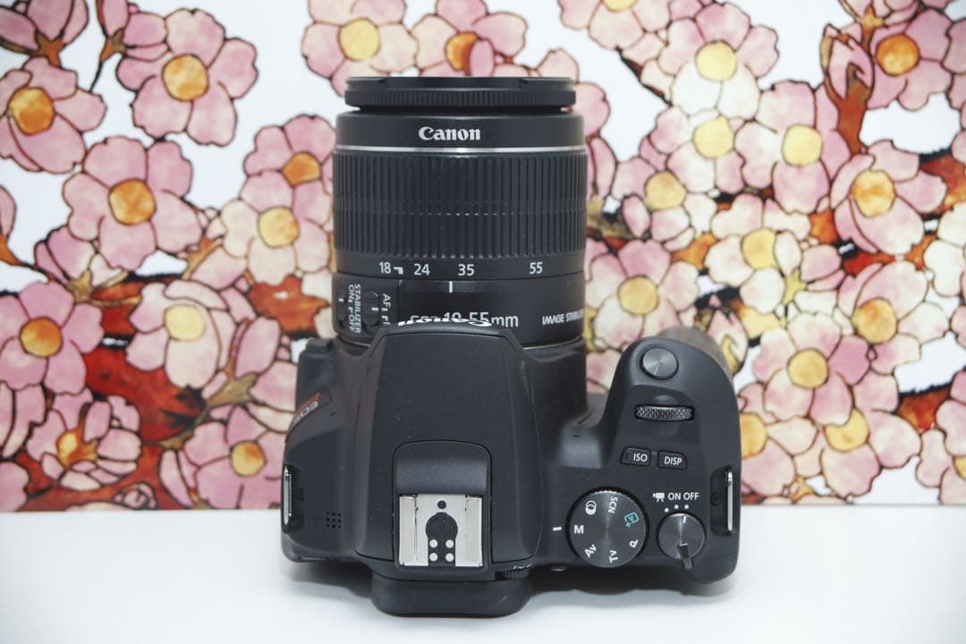 ❤️極上美品❤️キヤノン EOS kiss X10 レンズセット❤