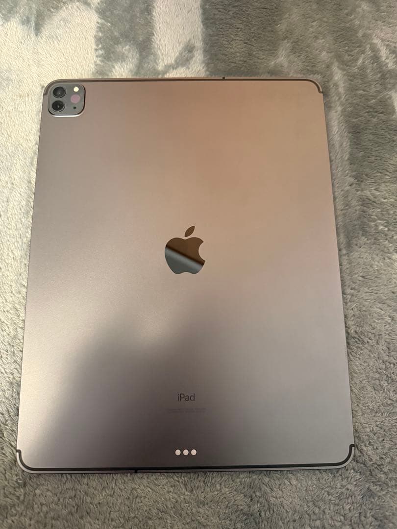 iPad Pro 12.9インチ (第4世代) 256GBセルラーモデル