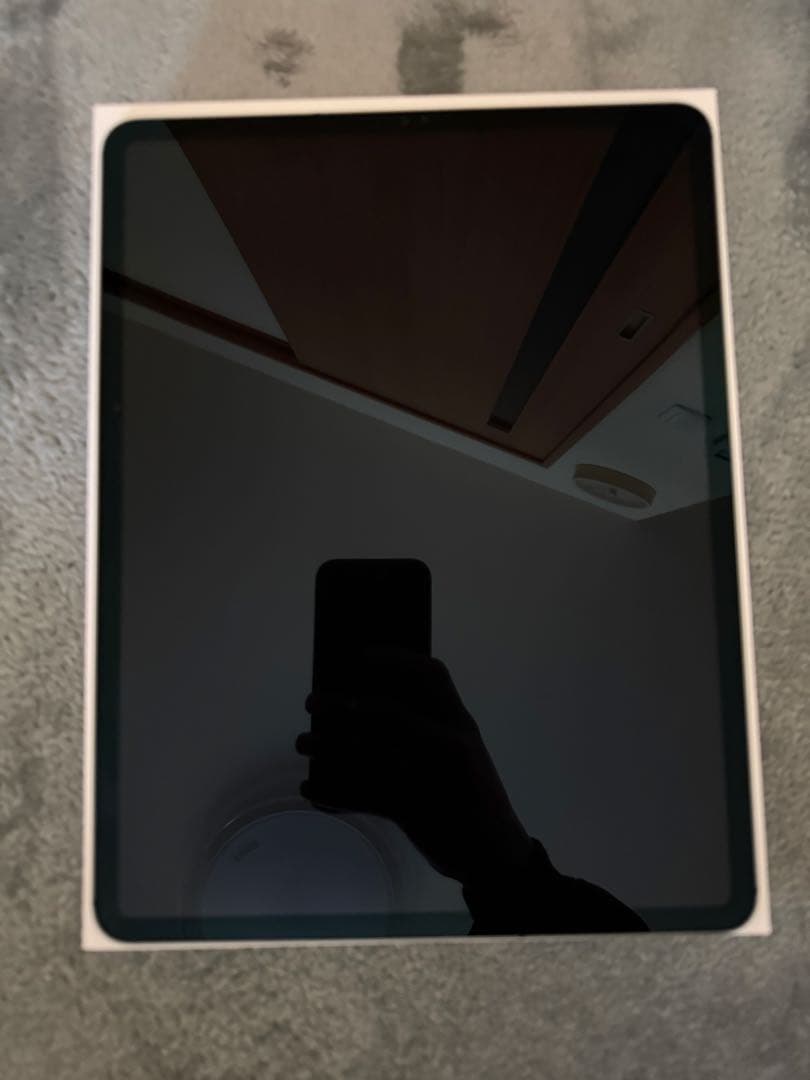 iPad Pro 12.9インチ (第4世代) 256GBセルラーモデル