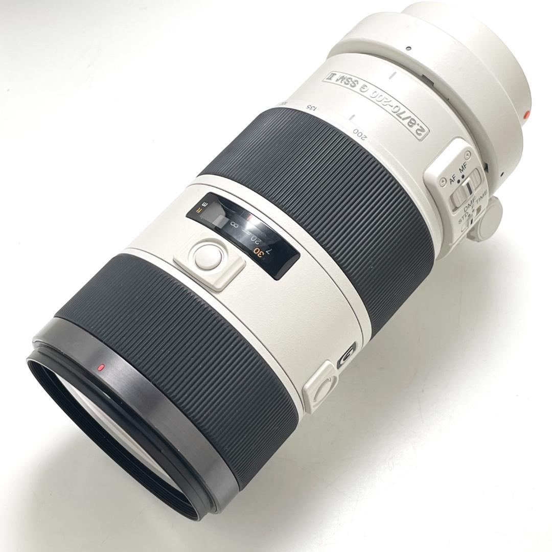 きれい ソニー 70-200mm F2.8 G SSM II