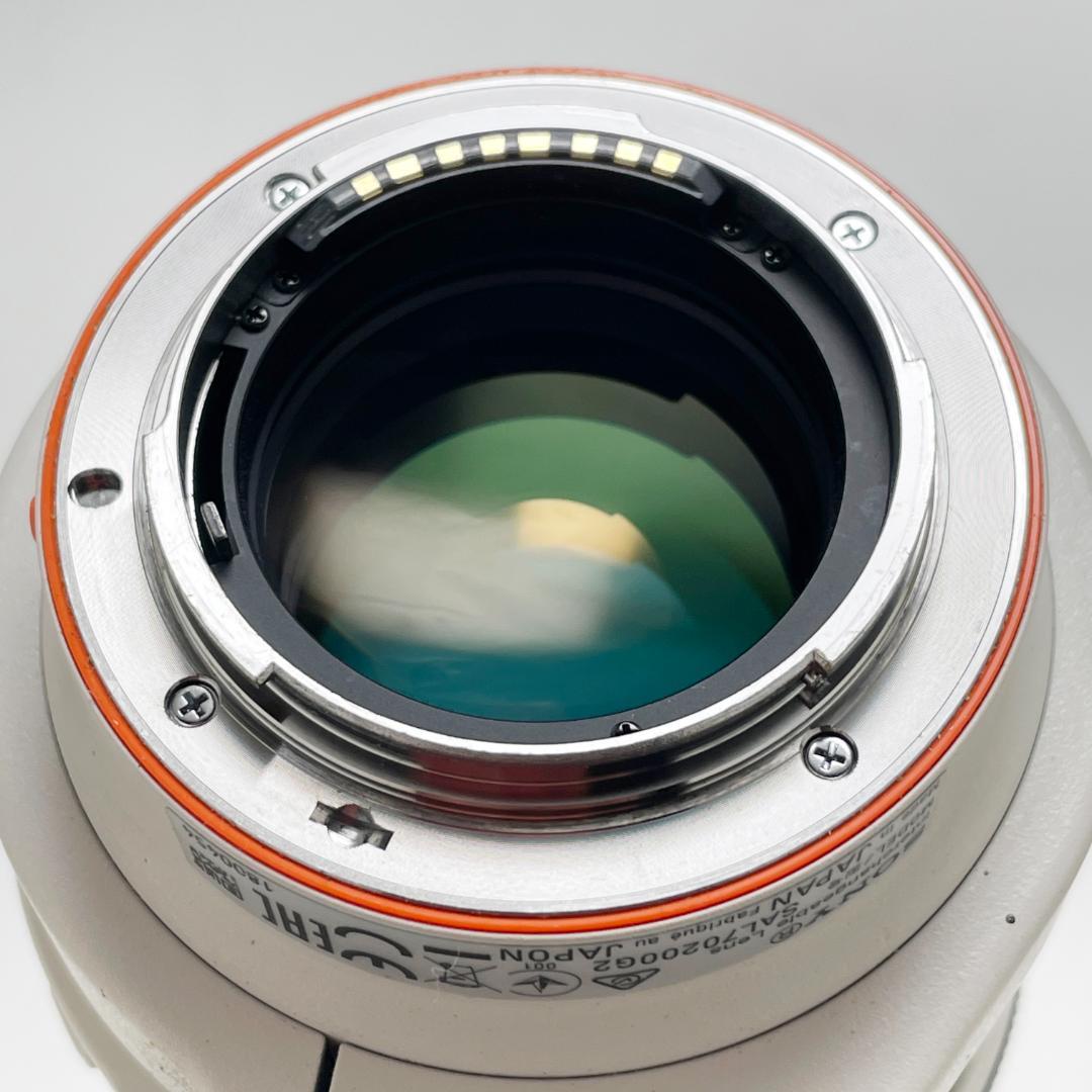 きれい ソニー 70-200mm F2.8 G SSM II