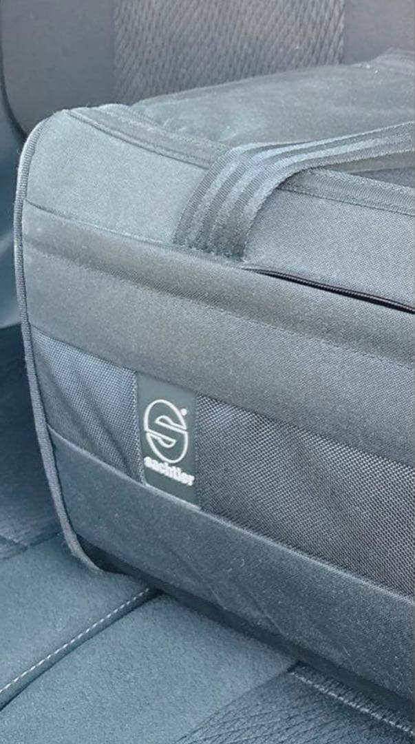 【数回のみ使用美品】＊ 業務用 ＊Panasonic ＊ AG-DVX200 ＊