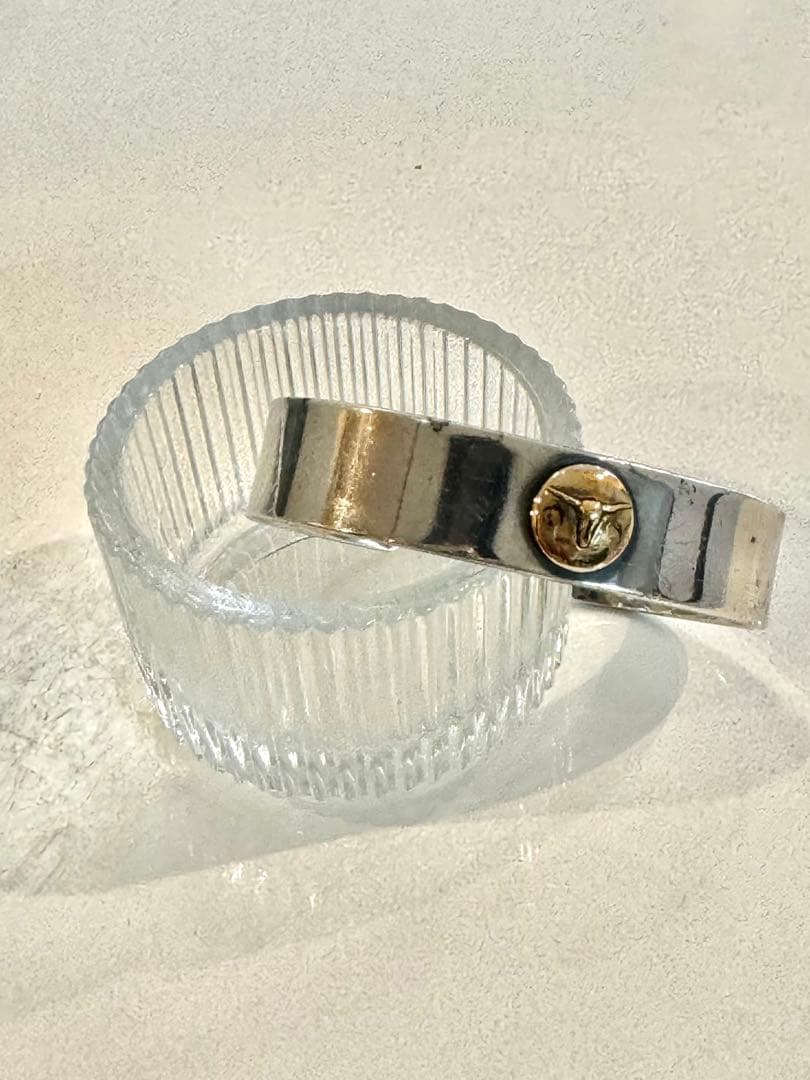 Tady ロングホーン バングル