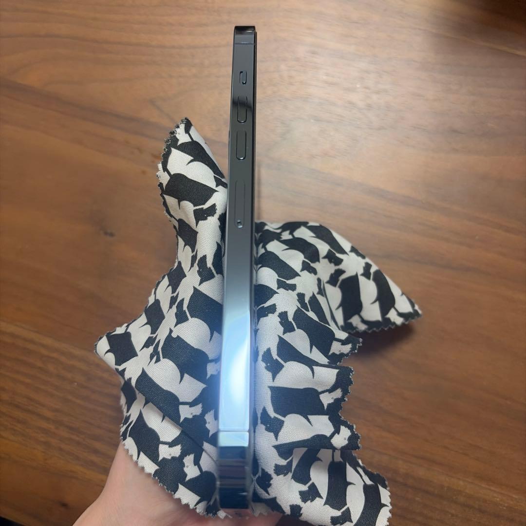 iPhone 13 ProMax 256GB シエラブルー(SIMフリー)