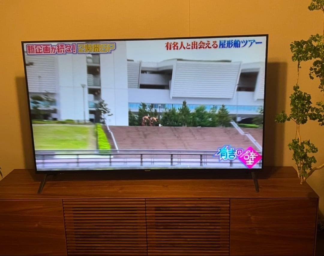 VIERA 65V型液晶テレビ TH-65FX780