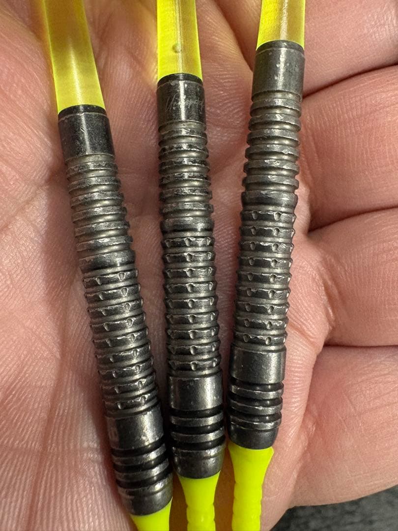 かに　TRINIDAD RICARDO エスダーツ限定 浅田斉吾選手モデル