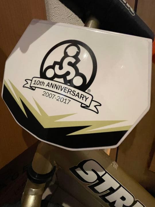 KING　 ゴールド　ストライダー 金色STRIDER アニバーサリー