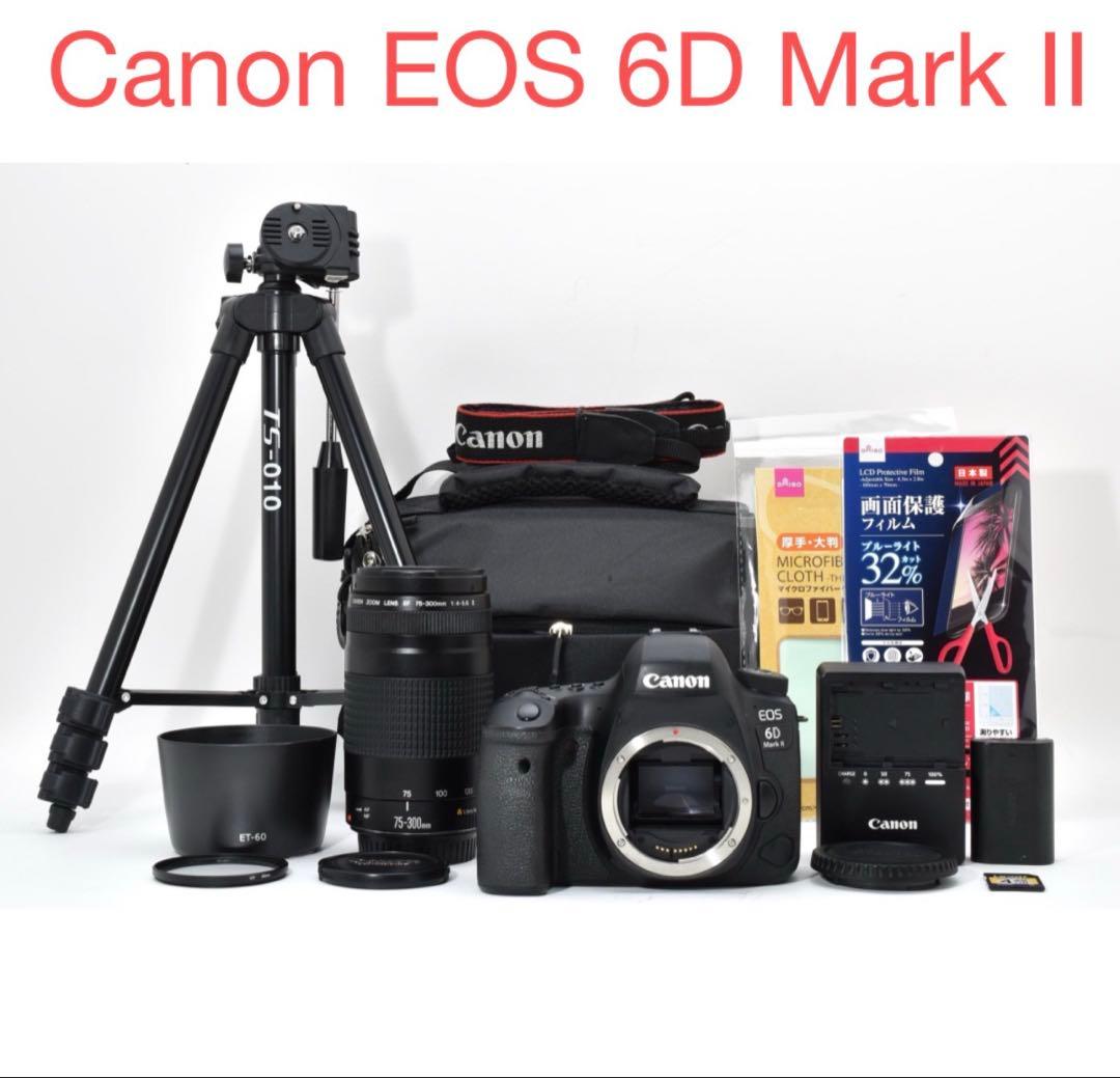 デジタル一眼レフカメラ望遠レンズセットCanon EOS 6D Mark II
