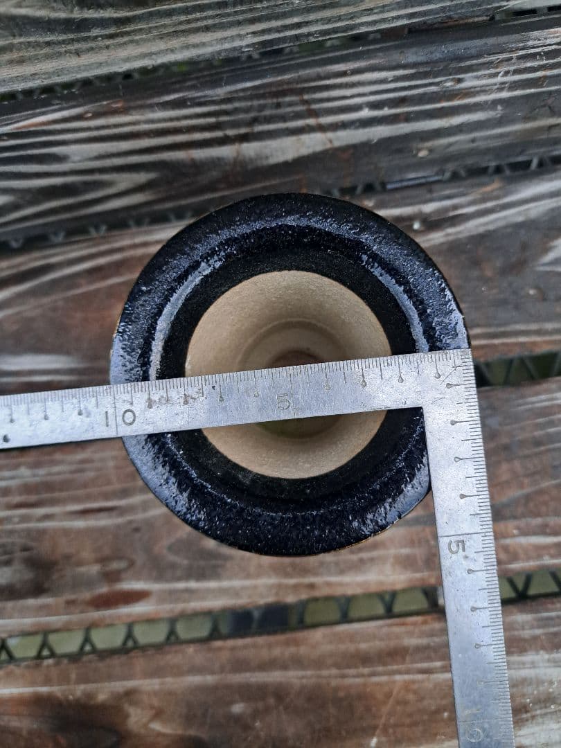 錦鉢　万年青　オモト　おもと　長生蘭　伝統園芸　植物　風蘭　富貴蘭　古典　着生蘭