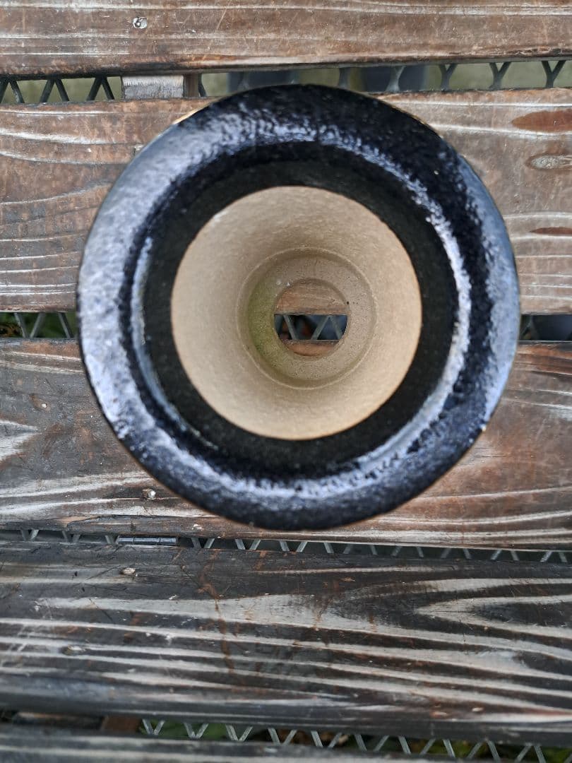 錦鉢　万年青　オモト　おもと　長生蘭　伝統園芸　植物　風蘭　富貴蘭　古典　着生蘭