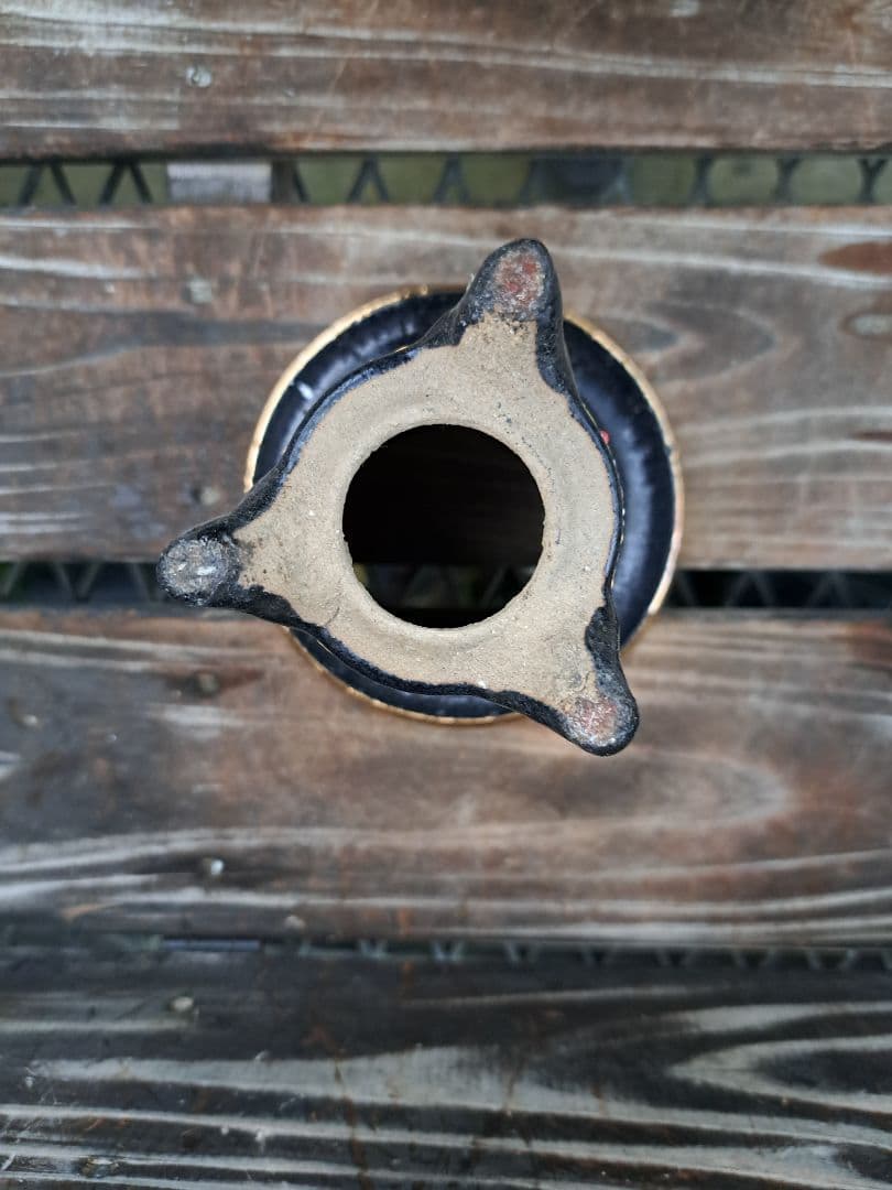 錦鉢　万年青　オモト　おもと　長生蘭　伝統園芸　植物　風蘭　富貴蘭　古典　着生蘭