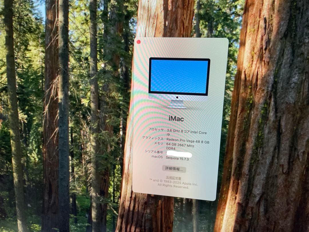 iMac 2019 27型 5K Core i9/64GB/SSD512GB