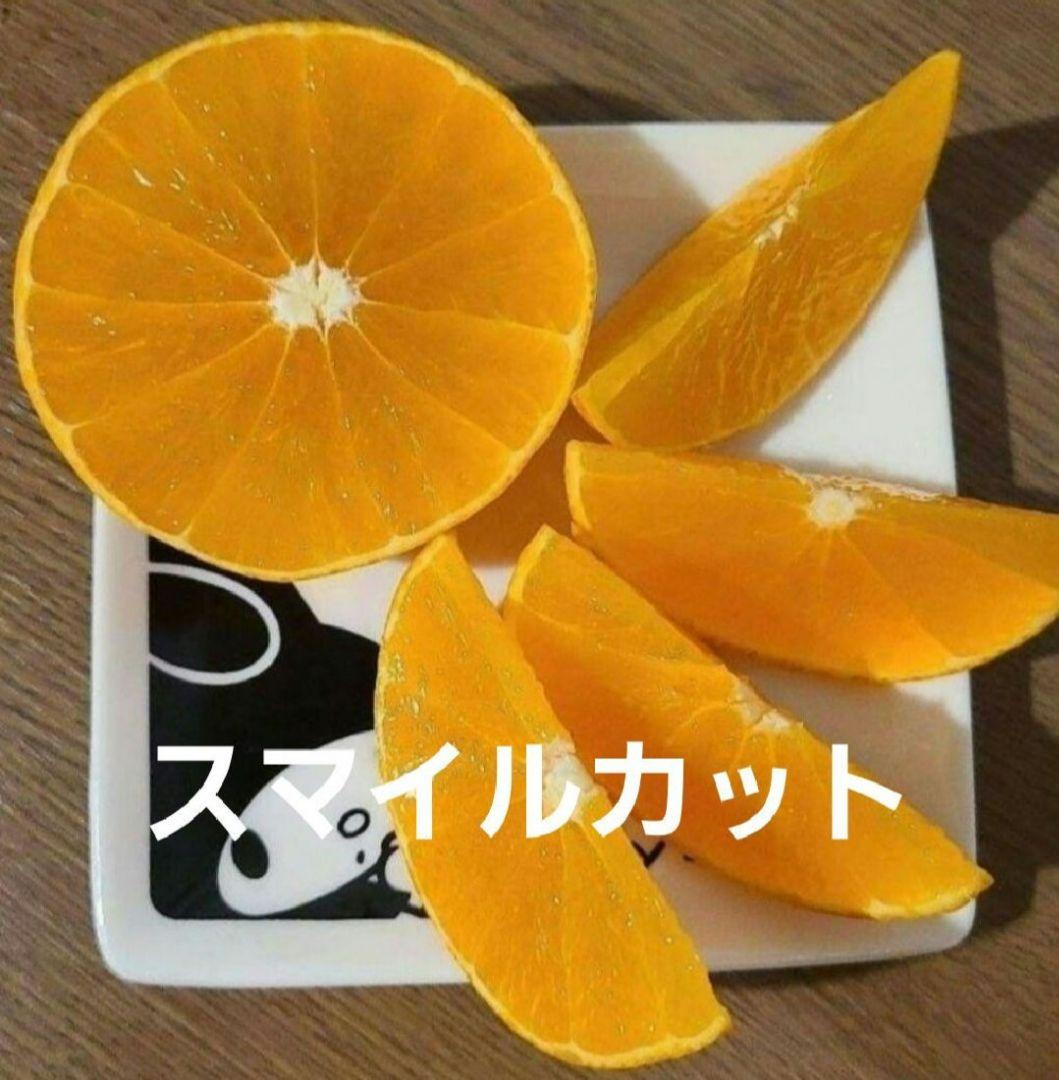 愛媛県産愛果28号(ミニマドンナちゃん)