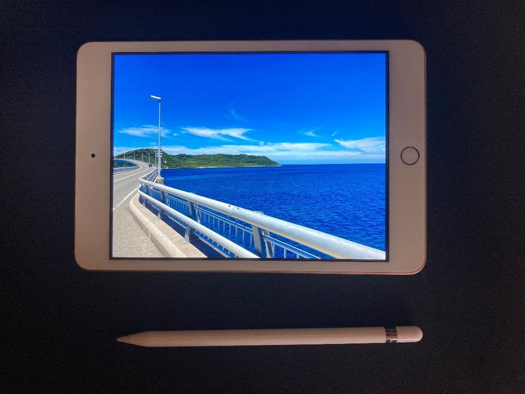 iPad mini 第5世代 64GB Cellular + 純正 pencil