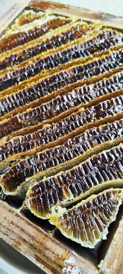 日本蜜蜂　はちみつ　非加熱　京都　京北産　　600g×3