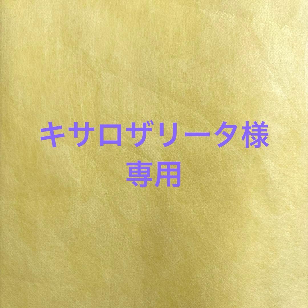 キサロザリータページ