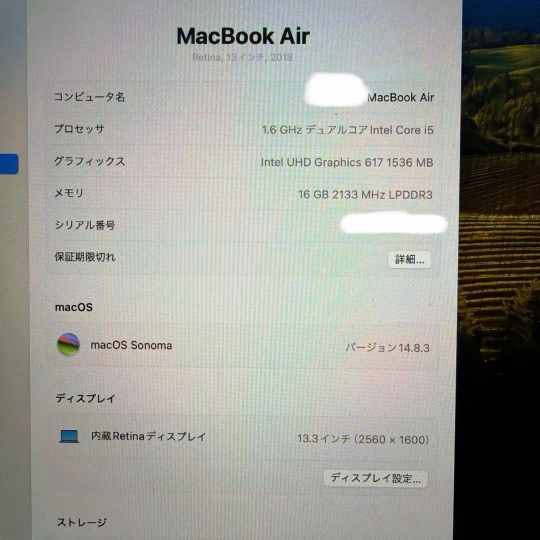 美品 MacBook Air 2018 16GB/256GB US配列 電池良好