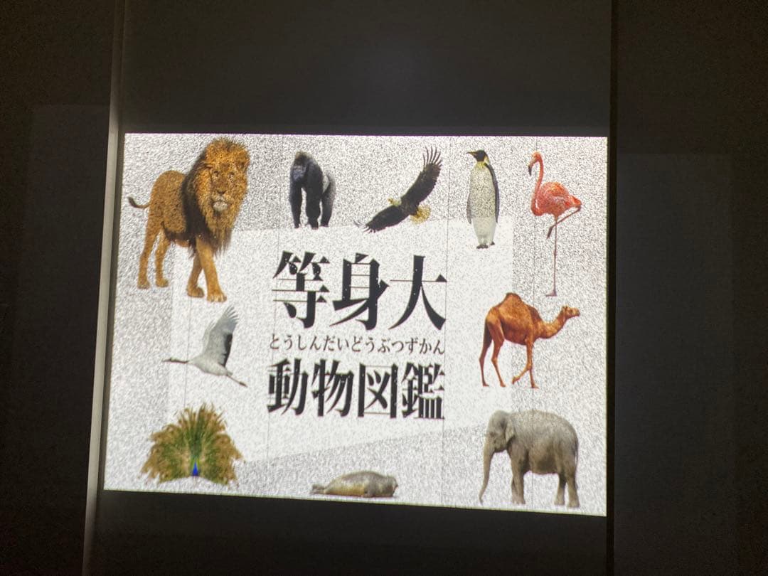 【ジャンク】Poppin Aladdin2 (ドット抜け有り)