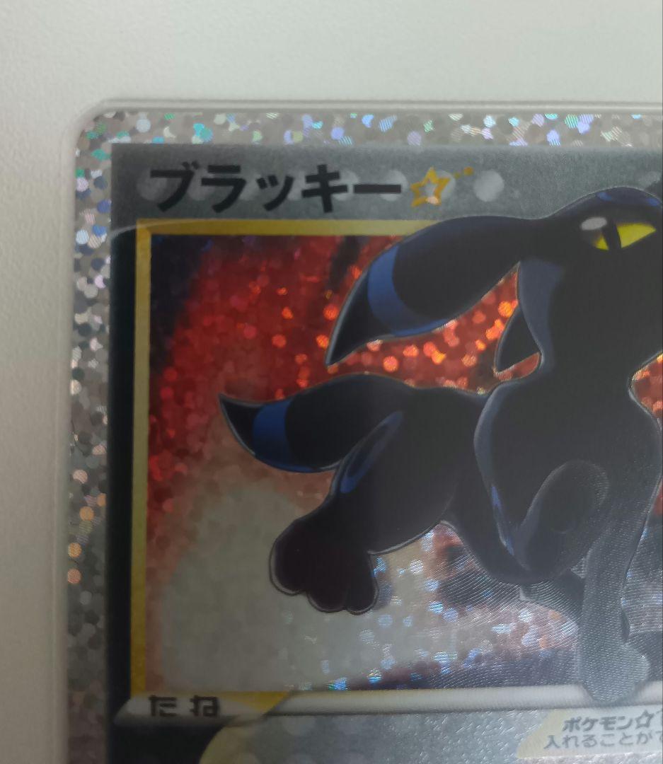 ゆ*き様 まとめ売り　ポケモンカード 10枚セット　ブラッキー 25th　リザー