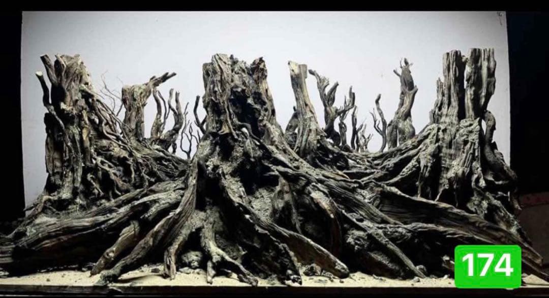 TTD 17412【⭐︎ HD様⭐︎】【美品・数量限定】