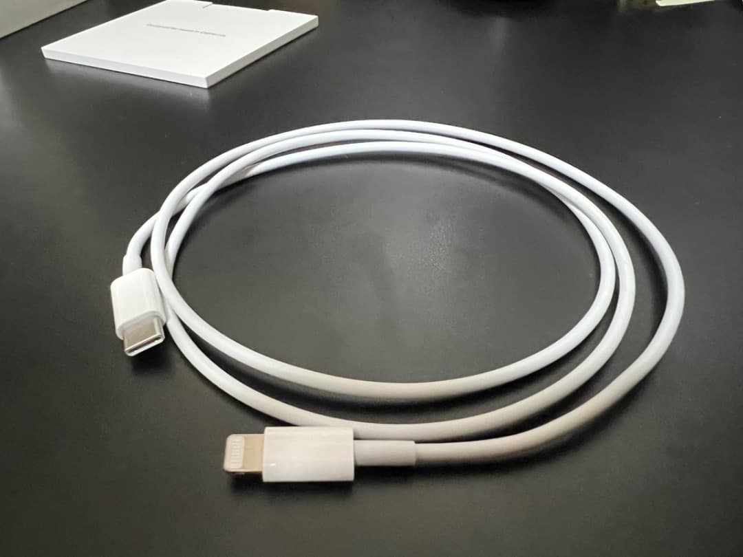 【純正・送料無料】Apple AirPods Pro 第一世代 付属品完備