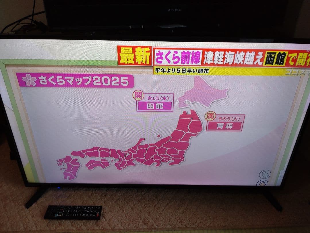 送料込 SANSUI 42型 高画質 テレビ Wチューナー搭載 HDMI×3