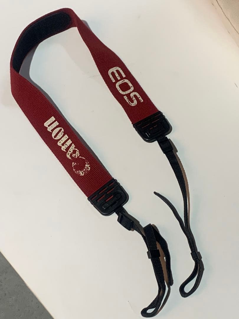 デジタルカメラ canon 1dx