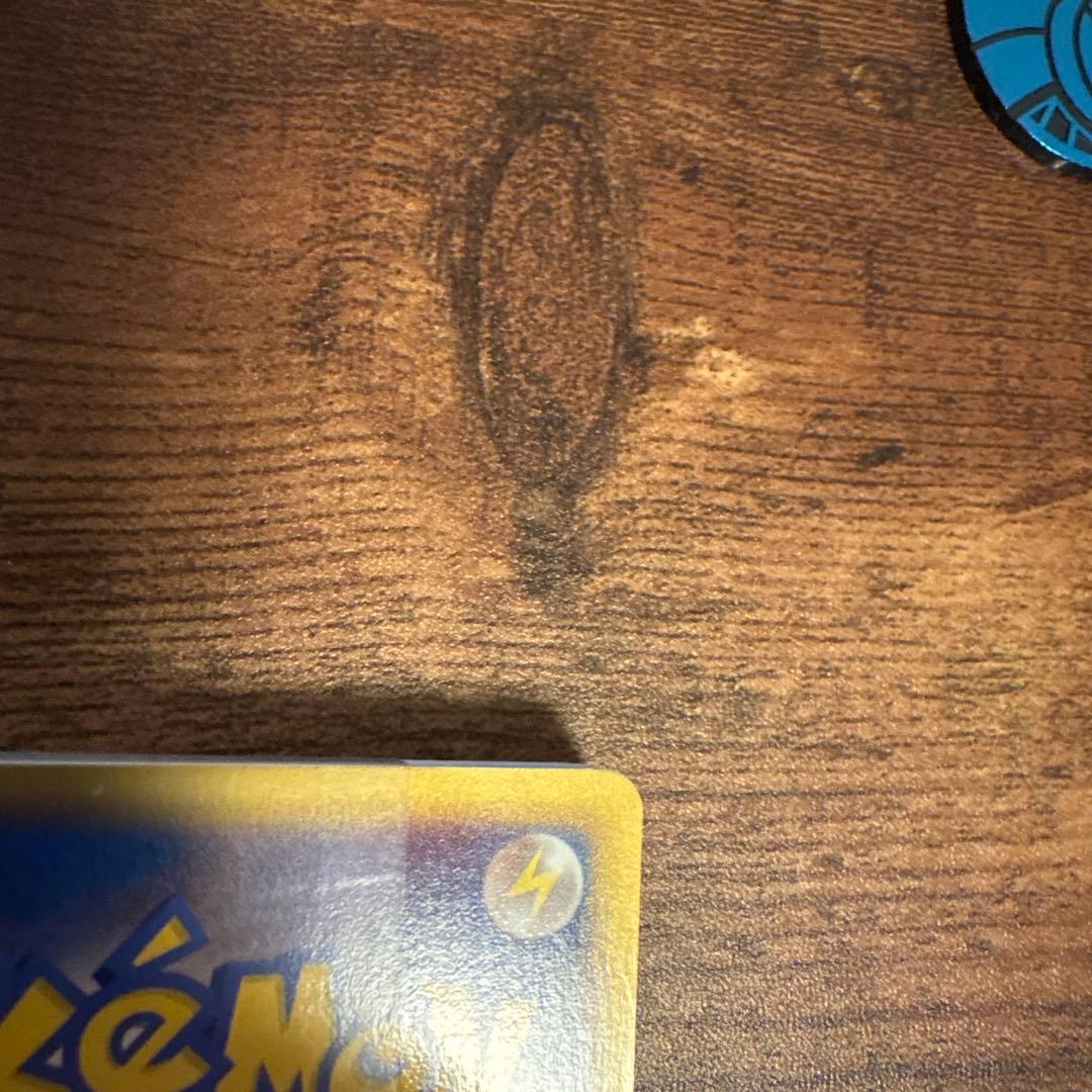 【美品】構築済みスターターフライゴンデッキ＆ボーマンダデッキセット 付き