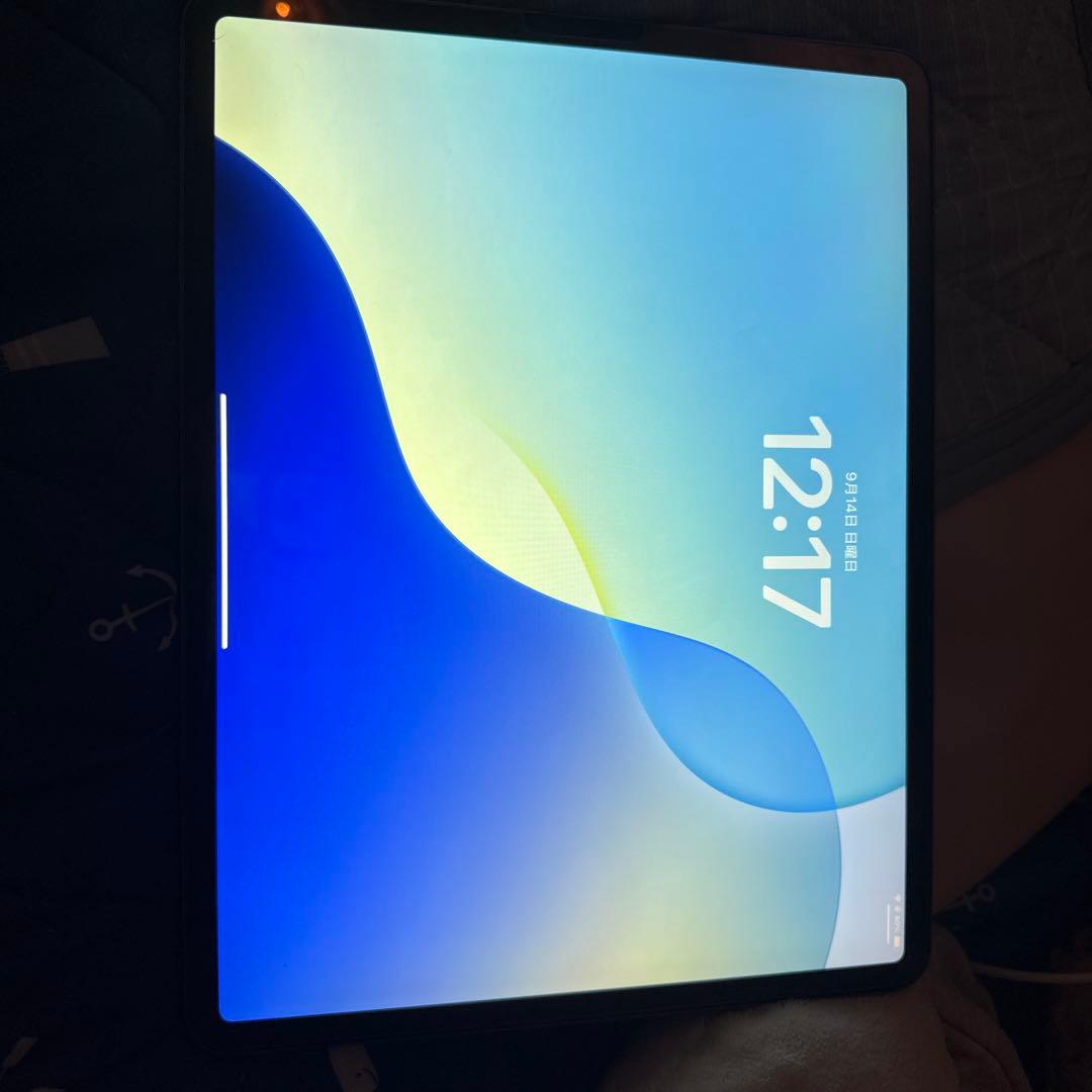 iPad Pro (12.9インチ) 第3世代 256GB スペースグレー