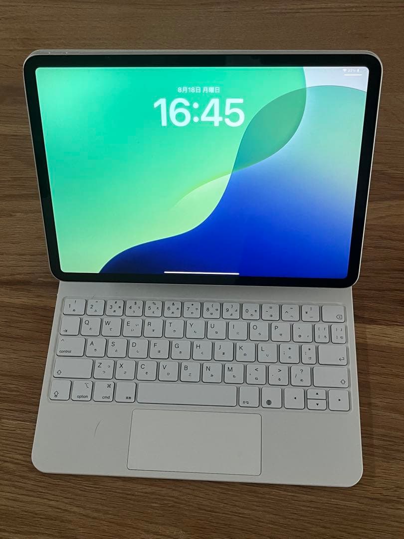 美品 iPad pro 11インチ バッテリー98% 第一世代 64gb