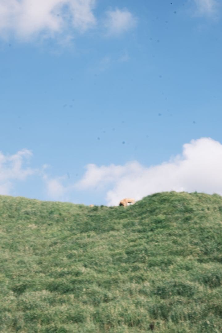 値下げ交渉可　FUJIFILM X-S10 / XF18-55mm フィルター付