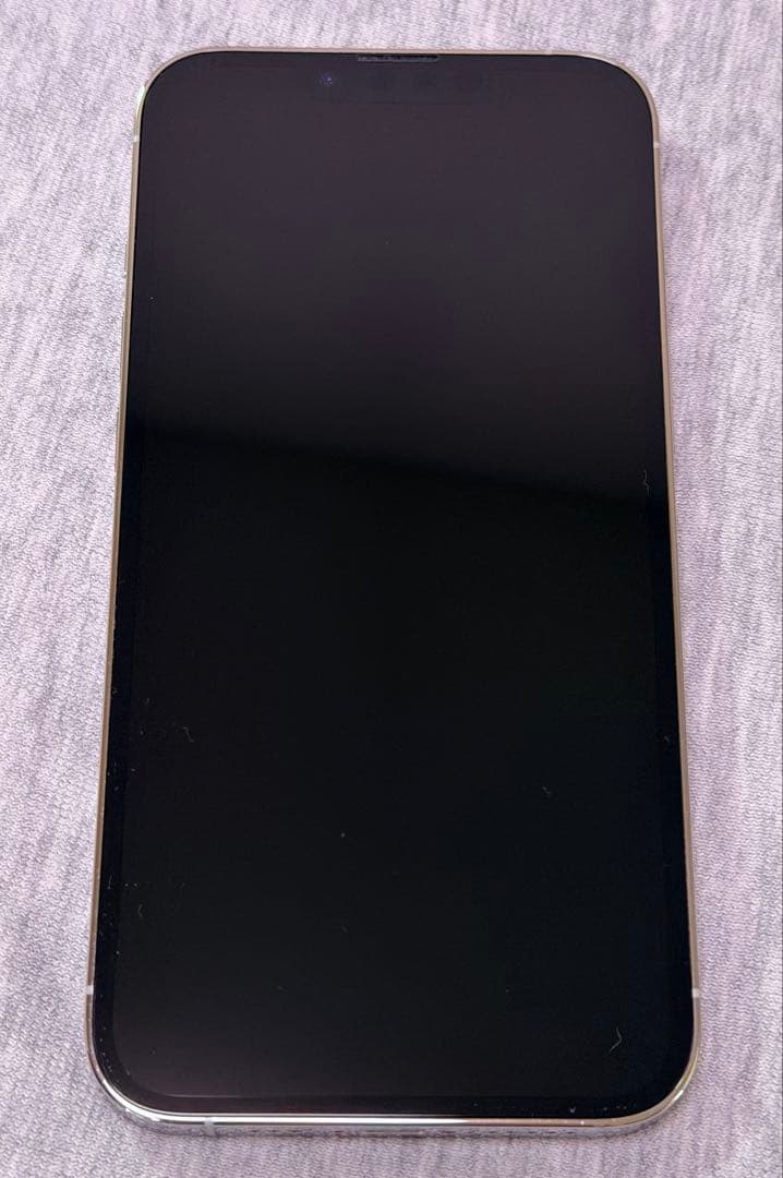 【美品】iPhone 13 Pro 1TB シルバー SIMフリー