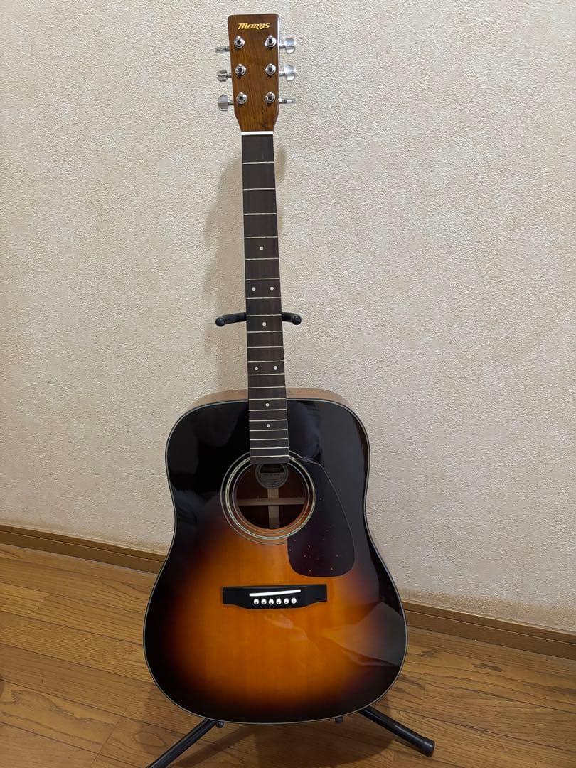 MORRIS アコースティックギター MD256TS