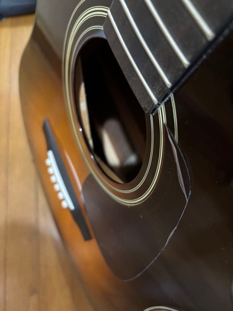 MORRIS アコースティックギター MD256TS