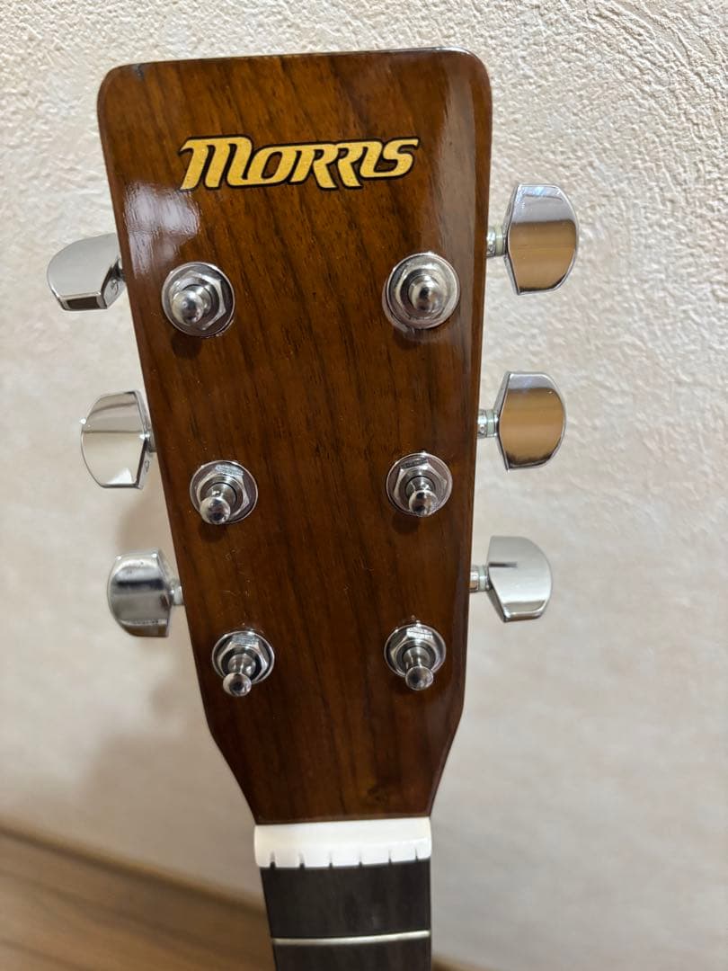 MORRIS アコースティックギター MD256TS