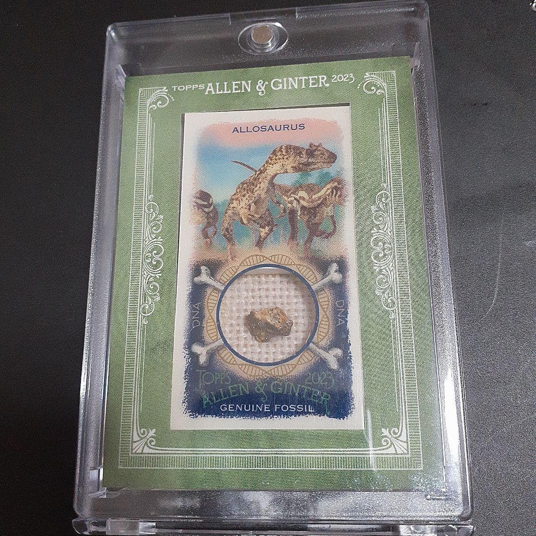 allen & ginter dna relic 化石 allosaurus