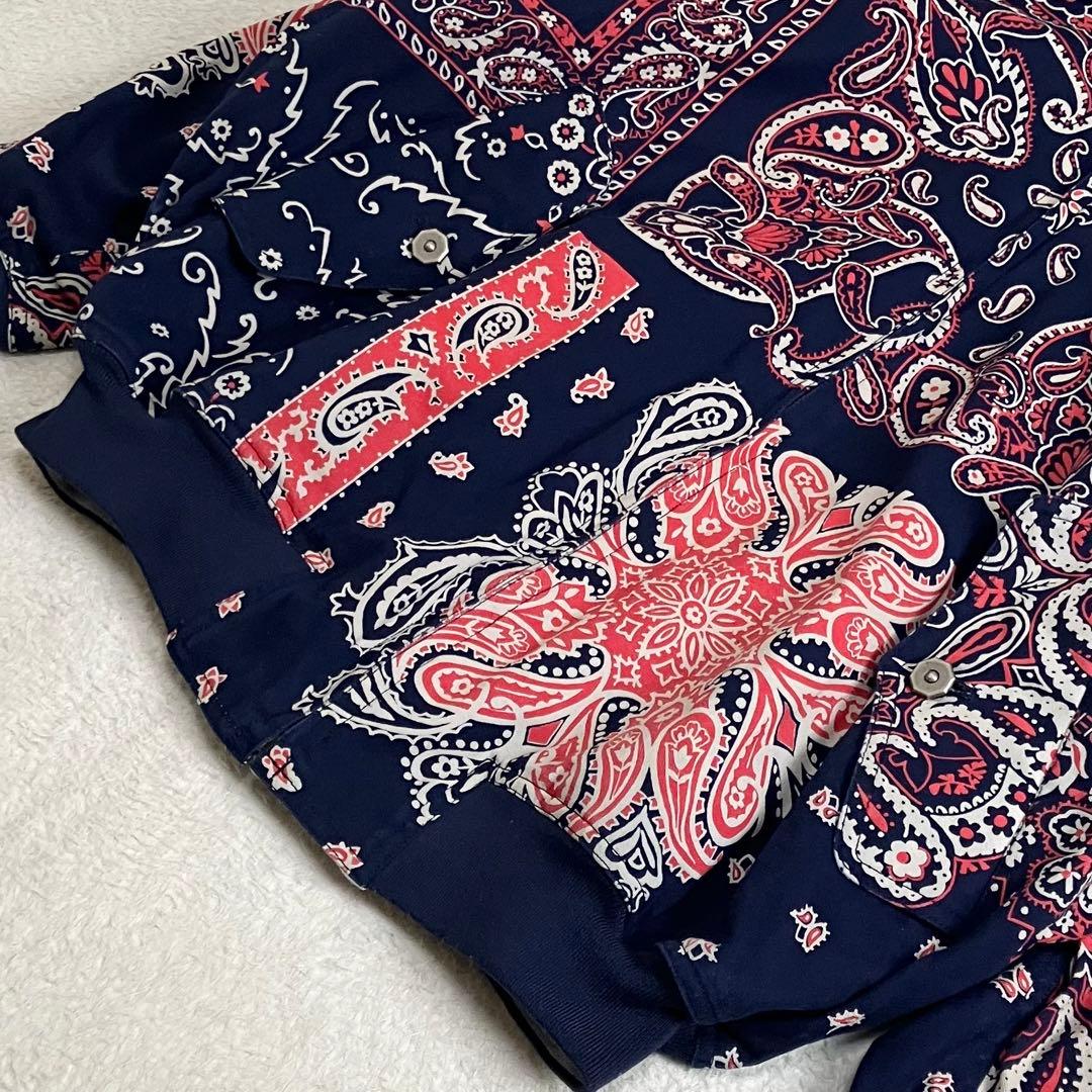 i.s. イッセイミヤケ　ツモリチサト　リバーシブルパーカー　ペイズリー柄　9