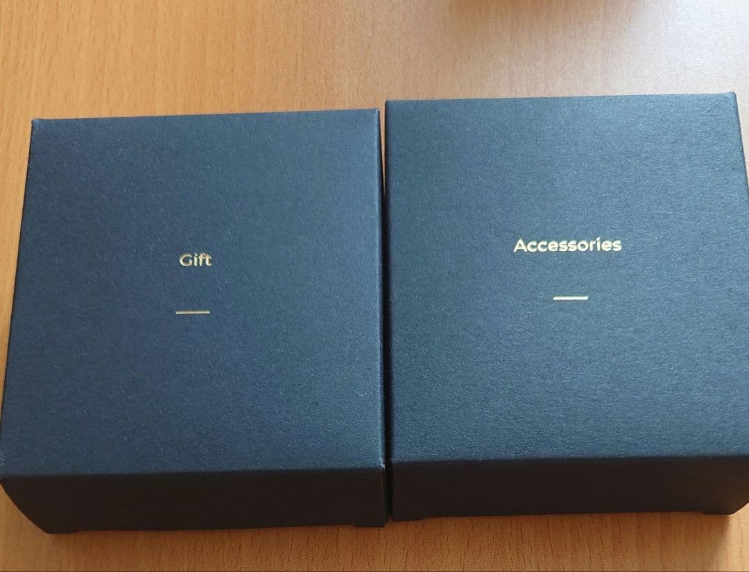 ANLAN ADRY31 美顔器 専用ケース付き