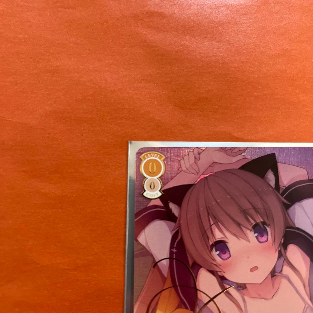 甘えんぼうな恋人 真白 ssp サイン