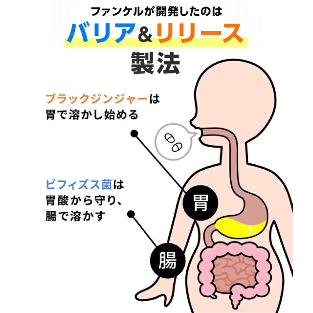 ファンケル 内脂サポート 30日分8袋〈240日分〉