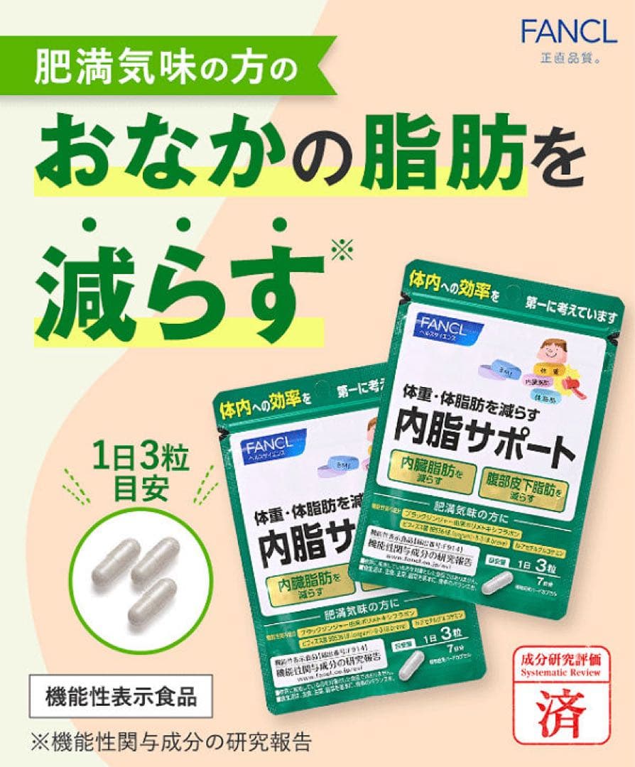 ファンケル 内脂サポート 30日分8袋〈240日分〉