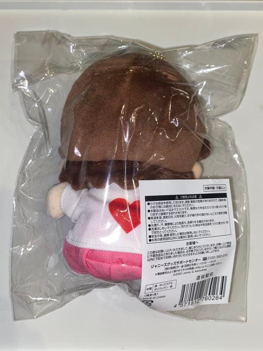 【新品・未開封・値下げしました】なにわ男子道枝駿佑　ちびぬい