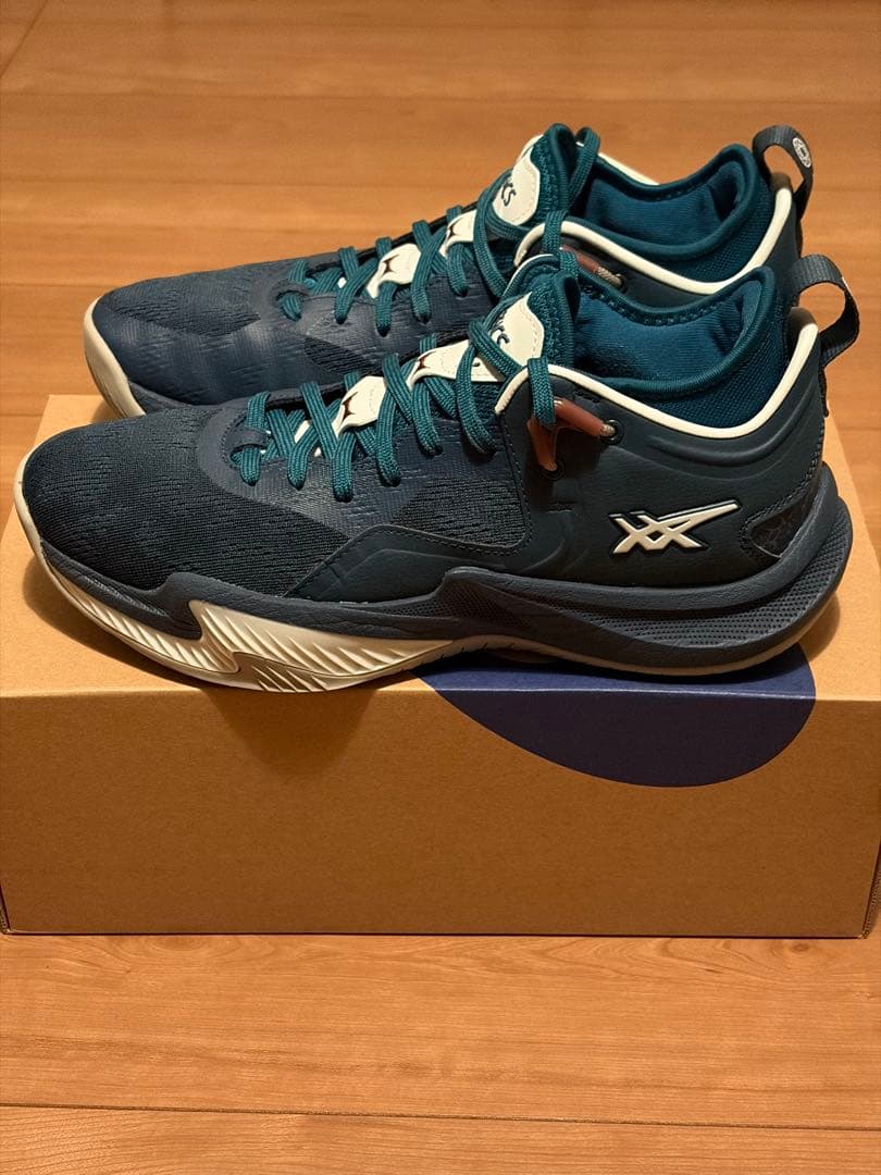 美品 ASICS NOVA SURGE LOW 2 バッシュ 26センチ