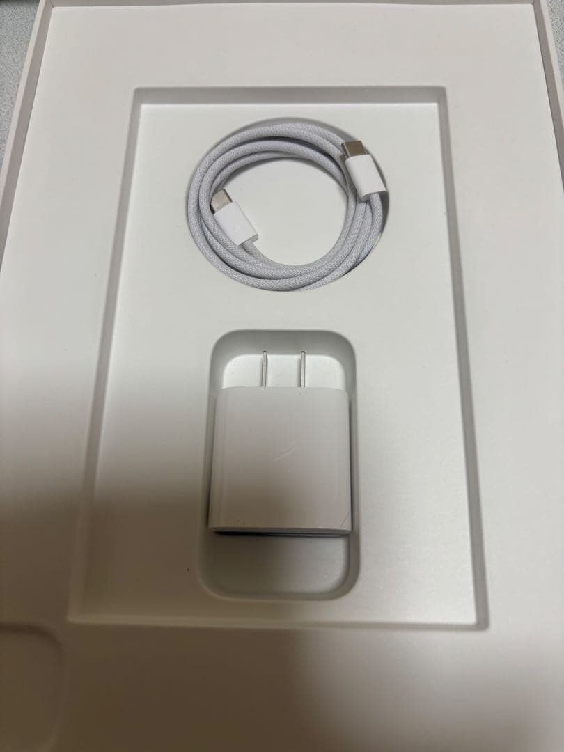 iPad Pro(M5)11インチ　256GB充電器付