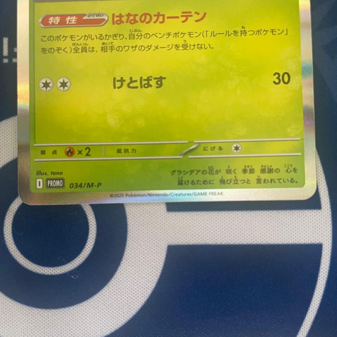 ロケット団のミュウツーex シェイミ 雷/水エネ CLプロモ4枚＋ステッカー1枚