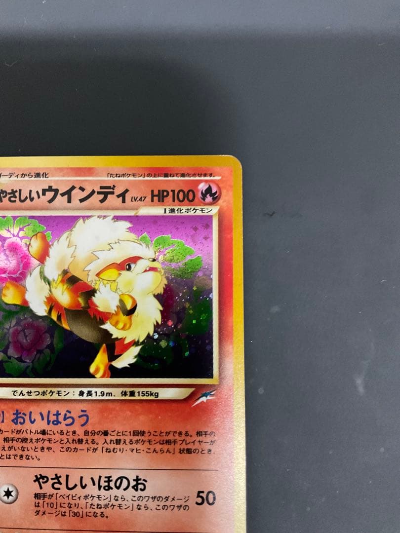 やさしいウインディ ★ 拡張パック第4弾 闇、そして光へ…