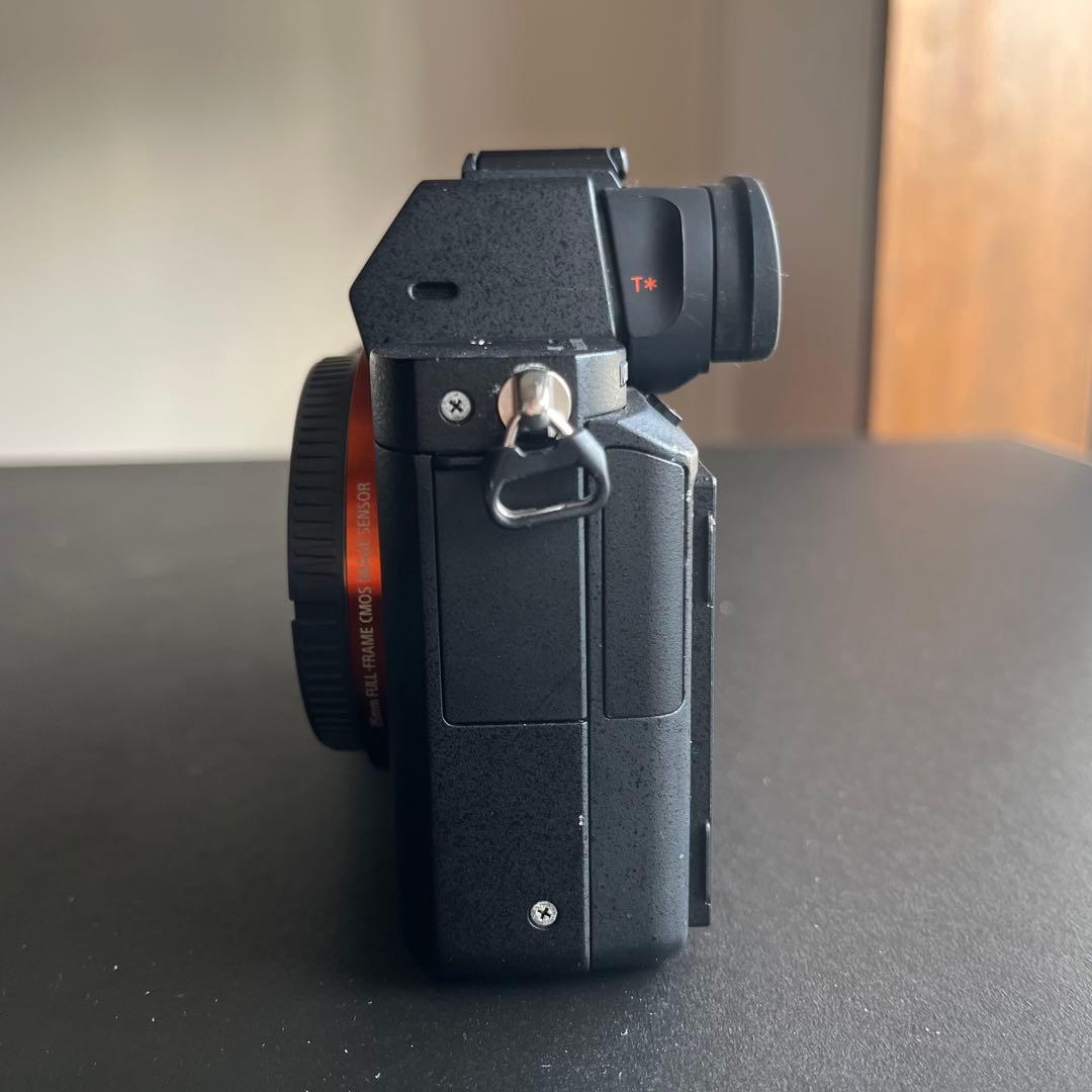 SONY α7RⅡ、TAMRON 28-75mm F/2.8 Di III