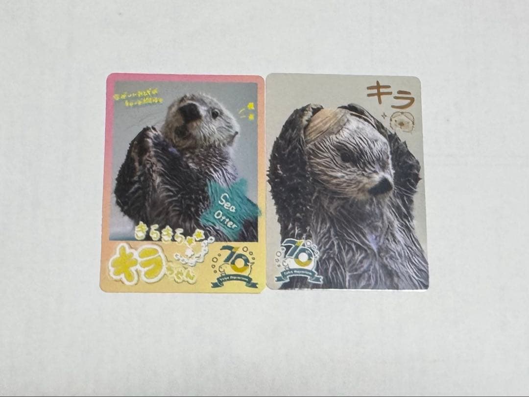 鳥羽水族館 コレクションカード　キラ　ノーマル　レア　セット